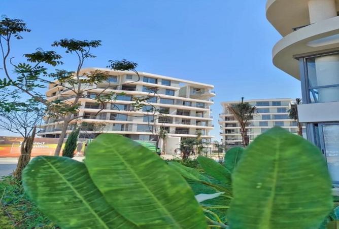 8531599 - صورة العقار 3