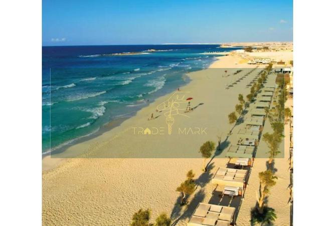 70090448 - صورة العقار 2