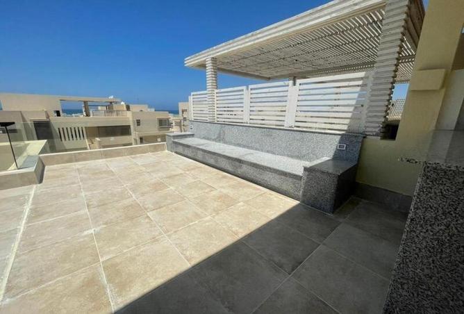 63146600 - صورة العقار 2