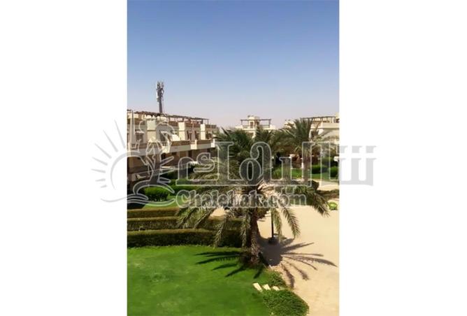 8680601 - صورة العقار 2