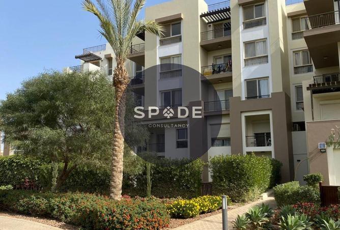 56501639 - Property Main Image