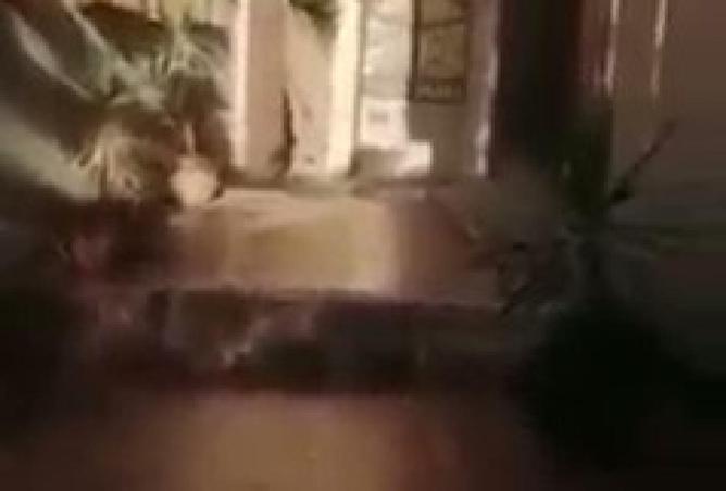 68524559 - Property Image 3