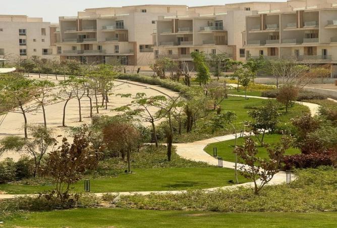 53989969 - Property Image 3