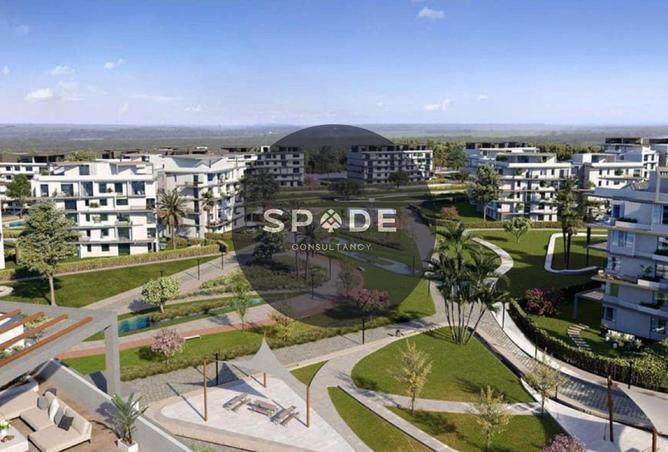 56251370 - Property Main Image