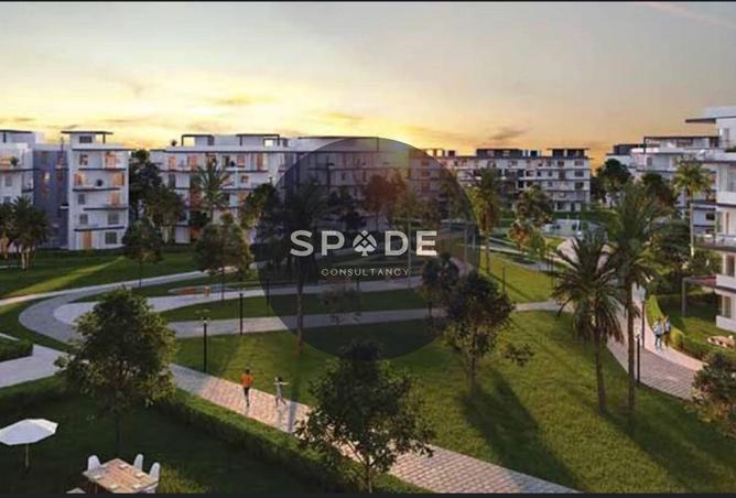 56251370 - Property Image 2