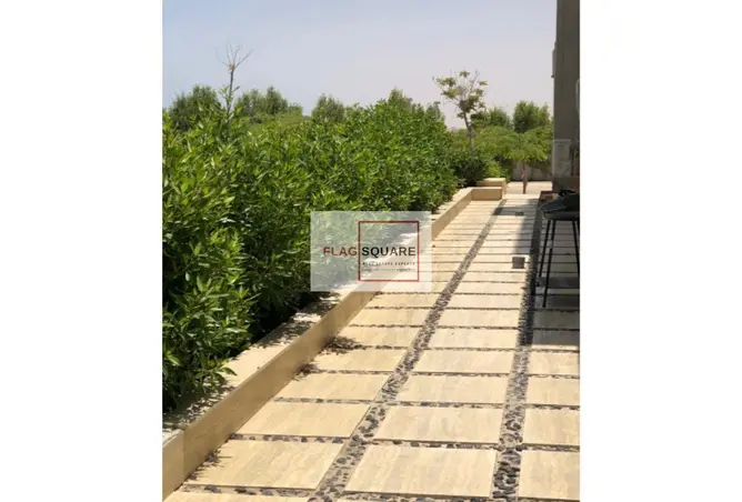 116754421 - صورة العقار 2