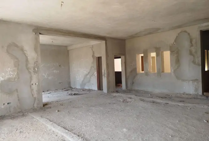 116755171 - Property Image 3