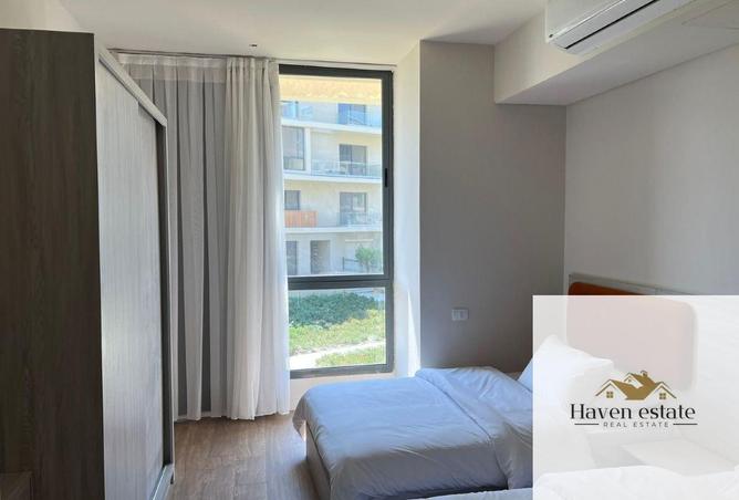 66173790 - Property Image 3