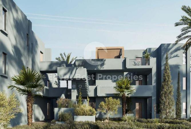 8537376 - Property Image 3