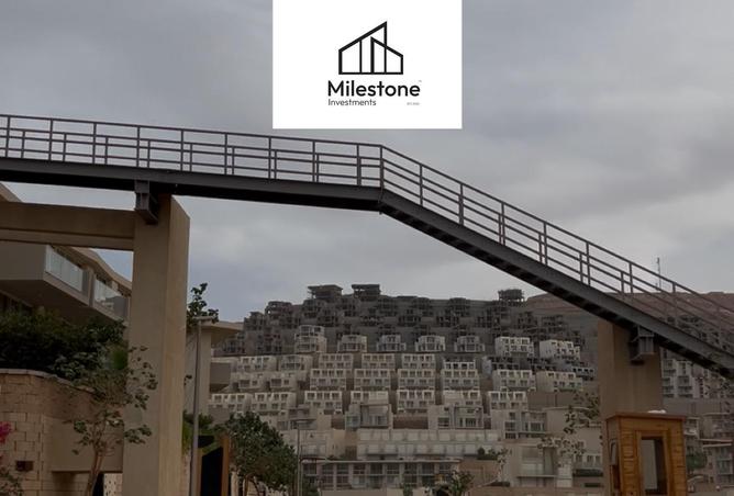 96858942 - صورة العقار 3