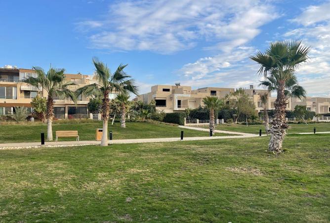 58745215 - صورة العقار 3