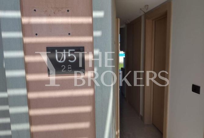 8646076 - Property Image 3