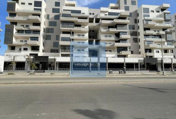 63397225 - Property Image 2