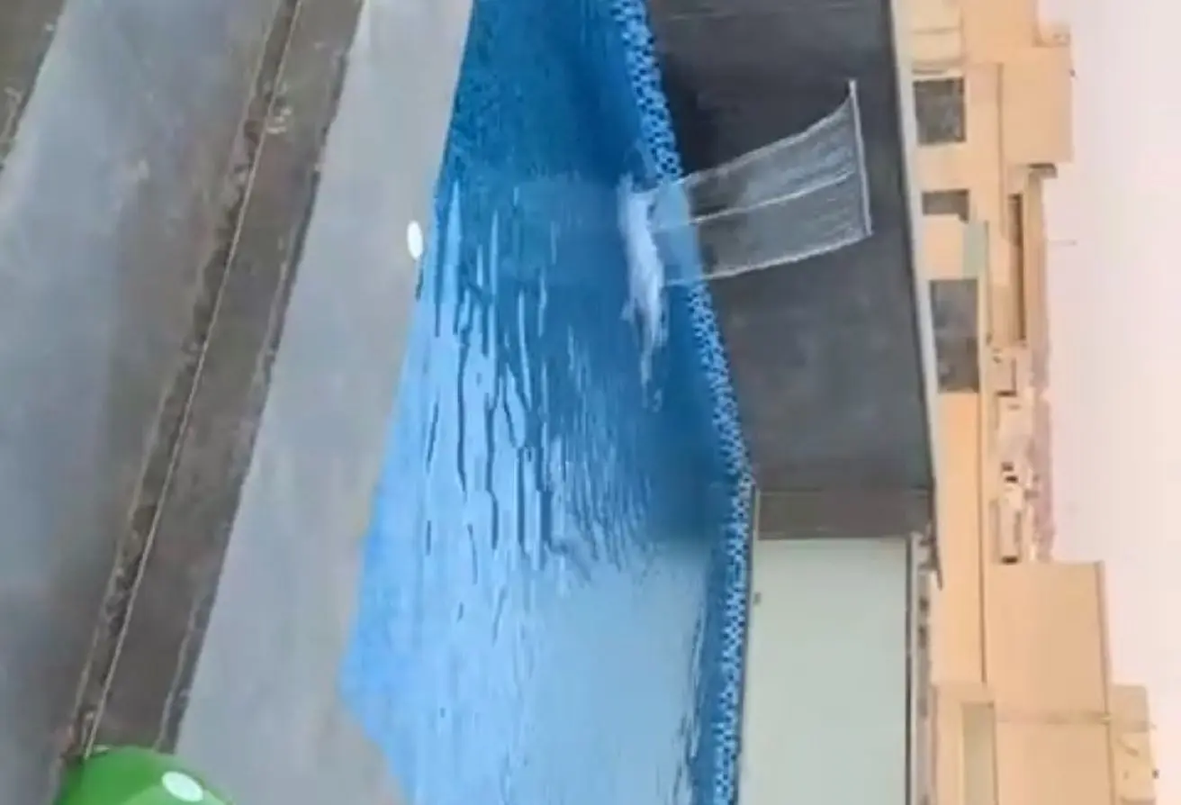 110756554 - الصورة الرئيسية للعقار