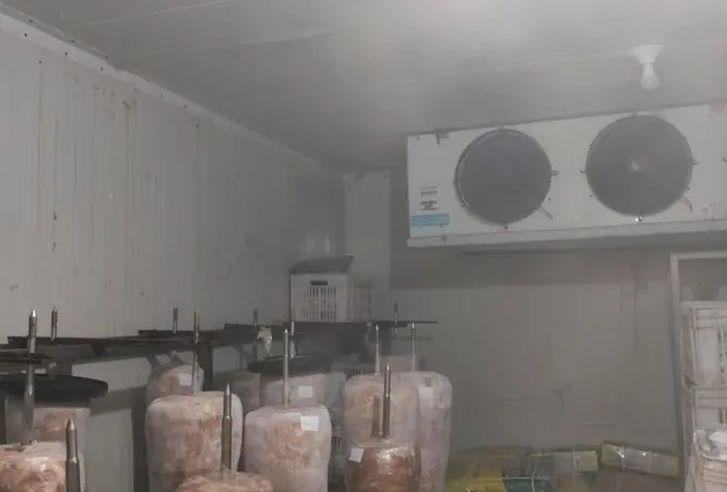 110468985 - Property Image 3