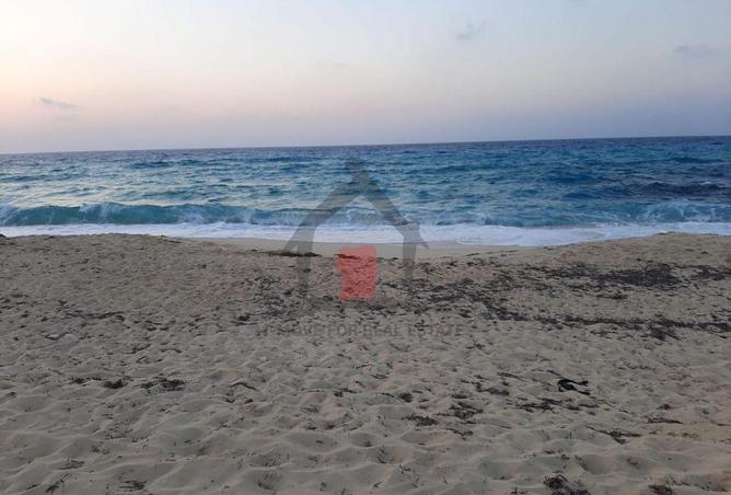 94089486 - صورة العقار 3