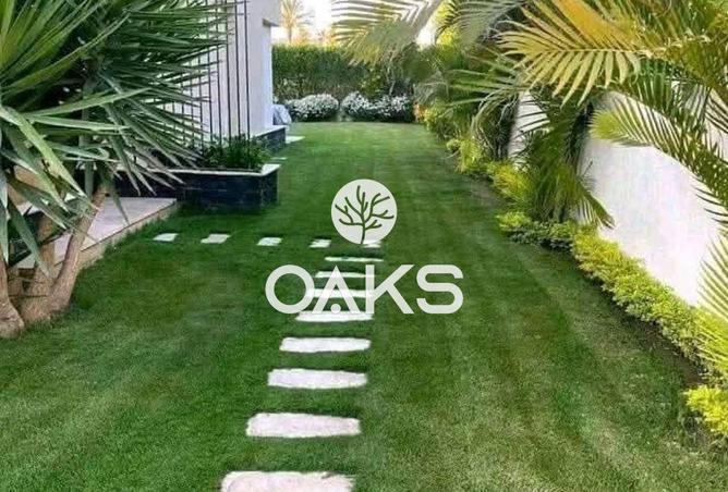 69565616 - Property Image 3