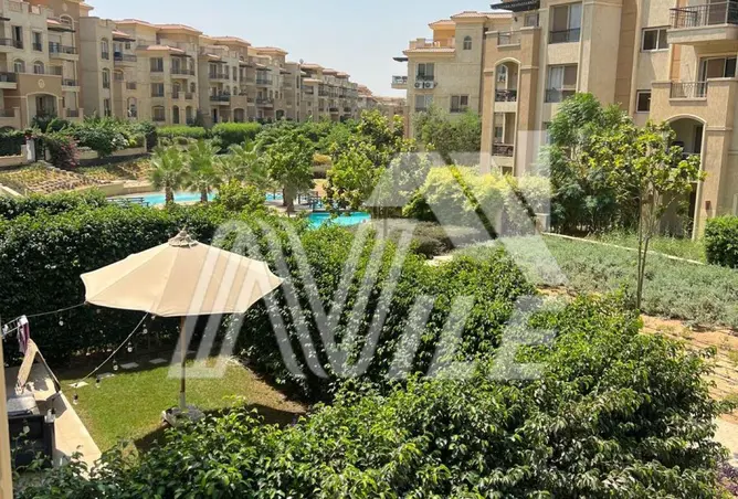 118541396 - صورة العقار 2