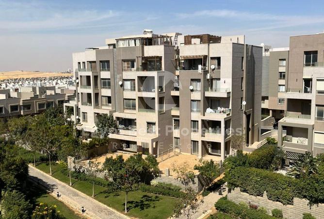 66951751 - Property Image 3