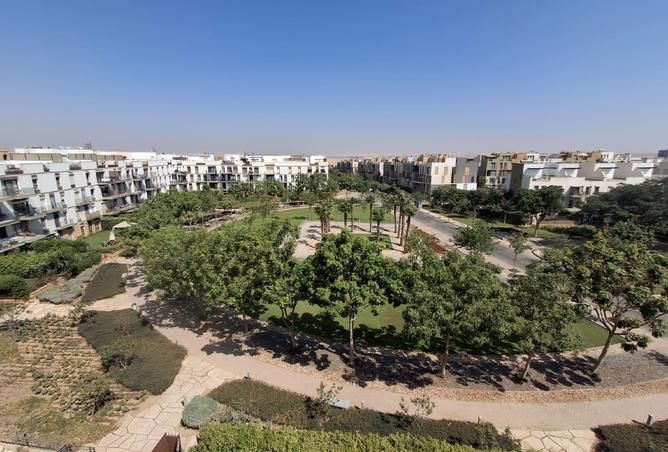 108778164 - Property Image 3