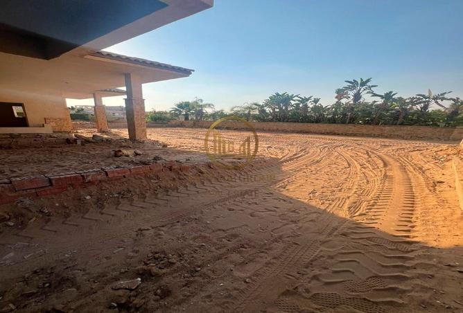 89563455 - Property Image 2