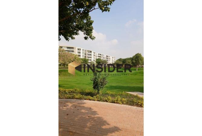 60474588 - Property Image 3