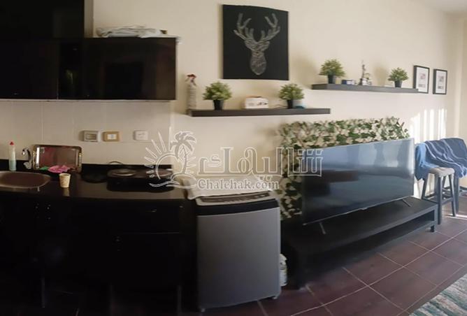 59242914 - Property Image 3