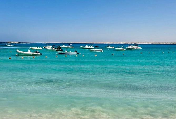 64386990 - Property Image 2