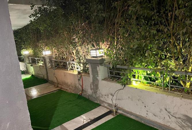 66687394 - صورة العقار 3