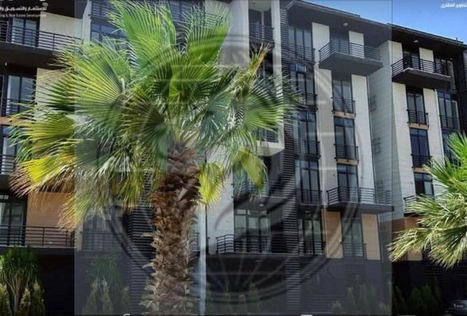 75667362 - Property Image 3