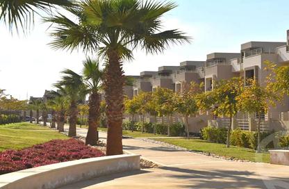 Villa - 5 Bedrooms - 7 Bathrooms for sale in Palm Hills Katameya Extension - 5th Settlement Compounds - The 5th Settlement - New Cairo City - Cairo