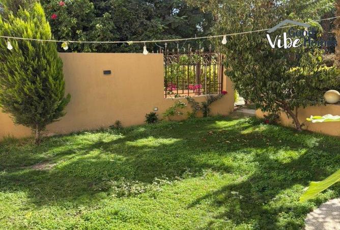 56240822 - صورة العقار 3