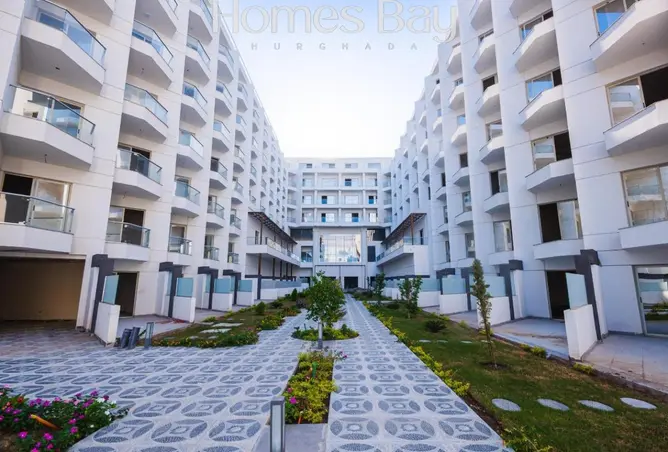 59501797 - Property Image 2