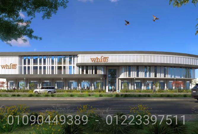 79454619 - Property Image 3