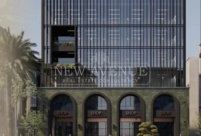119842559 - Property Image 3