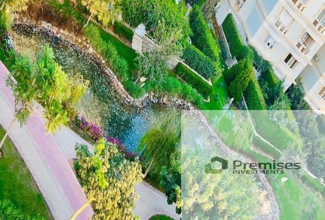 67729373 - Property Image 3