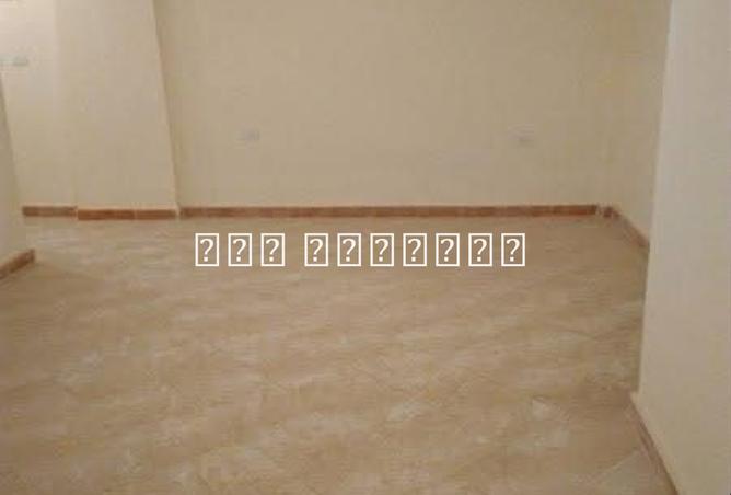 8509118 - Property Image 3