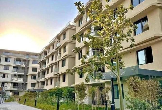 56246105 - صورة العقار 2