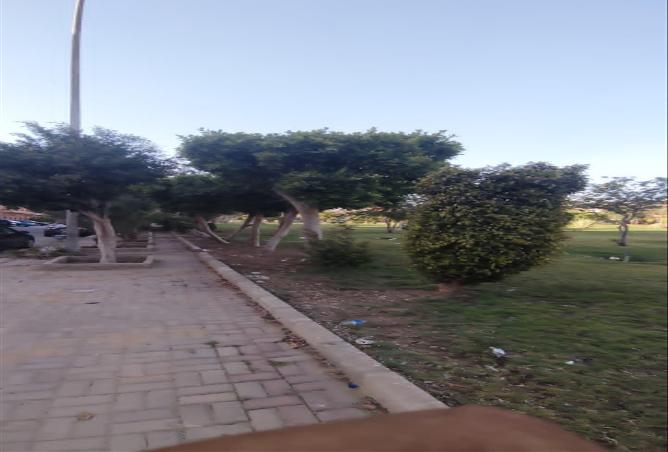 76499135 - صورة العقار 2