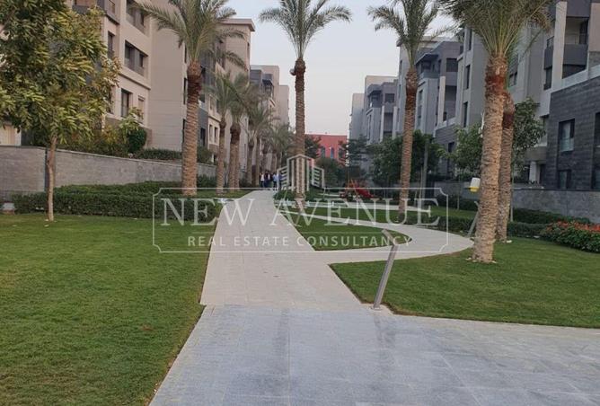 97720554 - Property Image 3