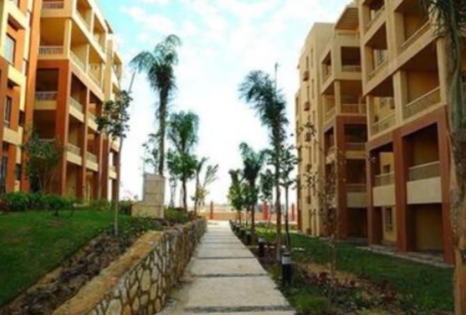 62411322 - صورة العقار 2