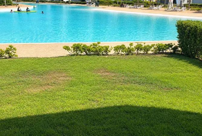 115439595 - صورة العقار 2
