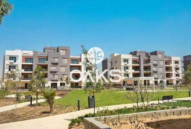 61692489 - Property Image 3