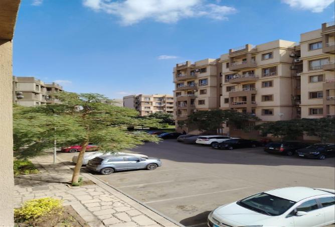 81569918 - صورة العقار 2
