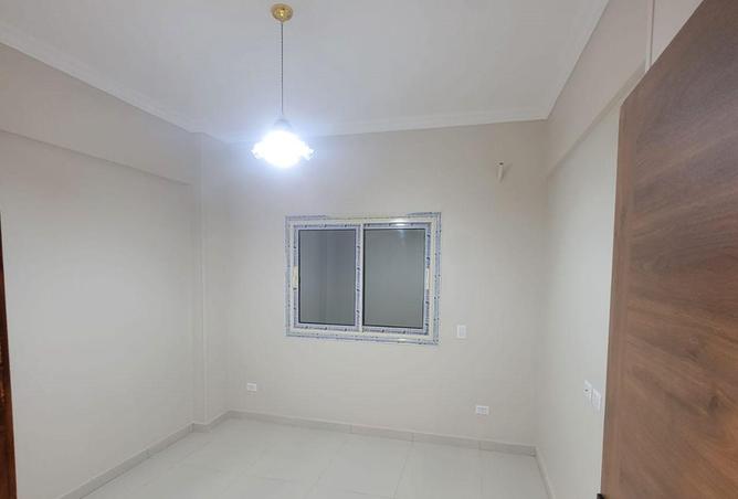 55258296 - Property Image 2