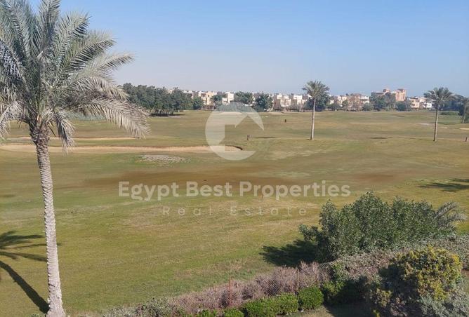 54233364 - Property Image 2