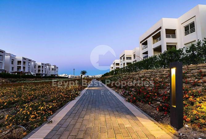 91276358 - صورة العقار 2