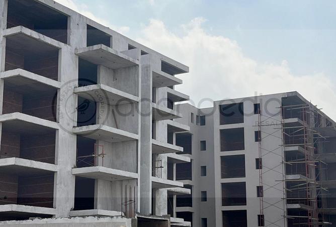 67738754 - Property Image 3