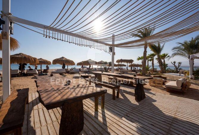 8532384 - Property Image 3