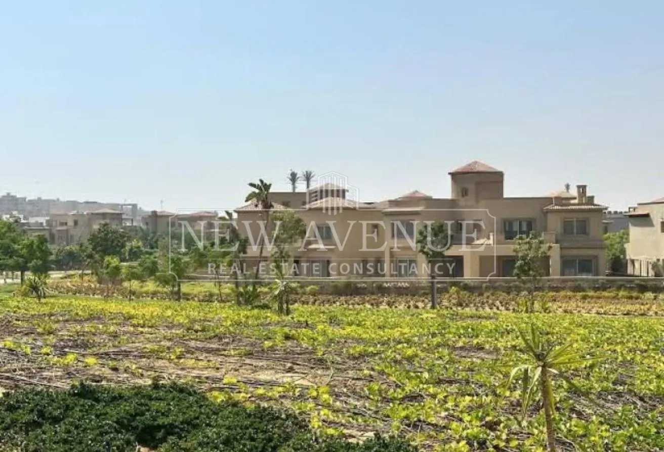 113250321 - الصورة الرئيسية للعقار